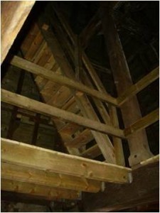 Image3